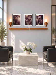 FREMAT Velvet Orchid shelf set with three 30 x 40 cm black frames, 2 cm white borders, honey wood shelf and two warm sensor lamps. Morning modern floral salon waiting room, pale orchid grey wall, black leather chairs and square cream stone table, terrazzo floor, sunlit window left and narrow glass doorway right.