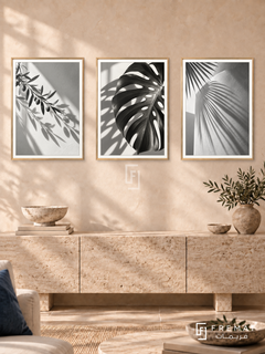 Botanical Shadows — set of three complementary black and white artworks in Gold frames, shown at 50×70 cm each.