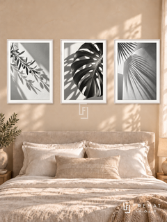 Botanical Shadows — set of three complementary black and white artworks in White frames, shown at 50×70 cm each.