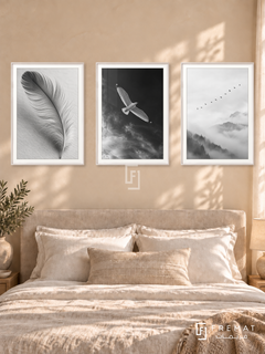 Feather And Flight — set of three complementary black and white artworks in White frames, shown at 50×70 cm each.