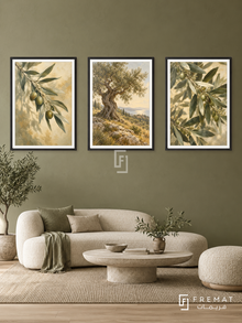 Olive Grove — set of three complementary nature artworks in Black frames, shown at 50×70 cm each.