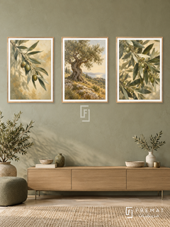 Olive Grove — set of three complementary nature artworks in Gold frames, shown at 50×70 cm each.